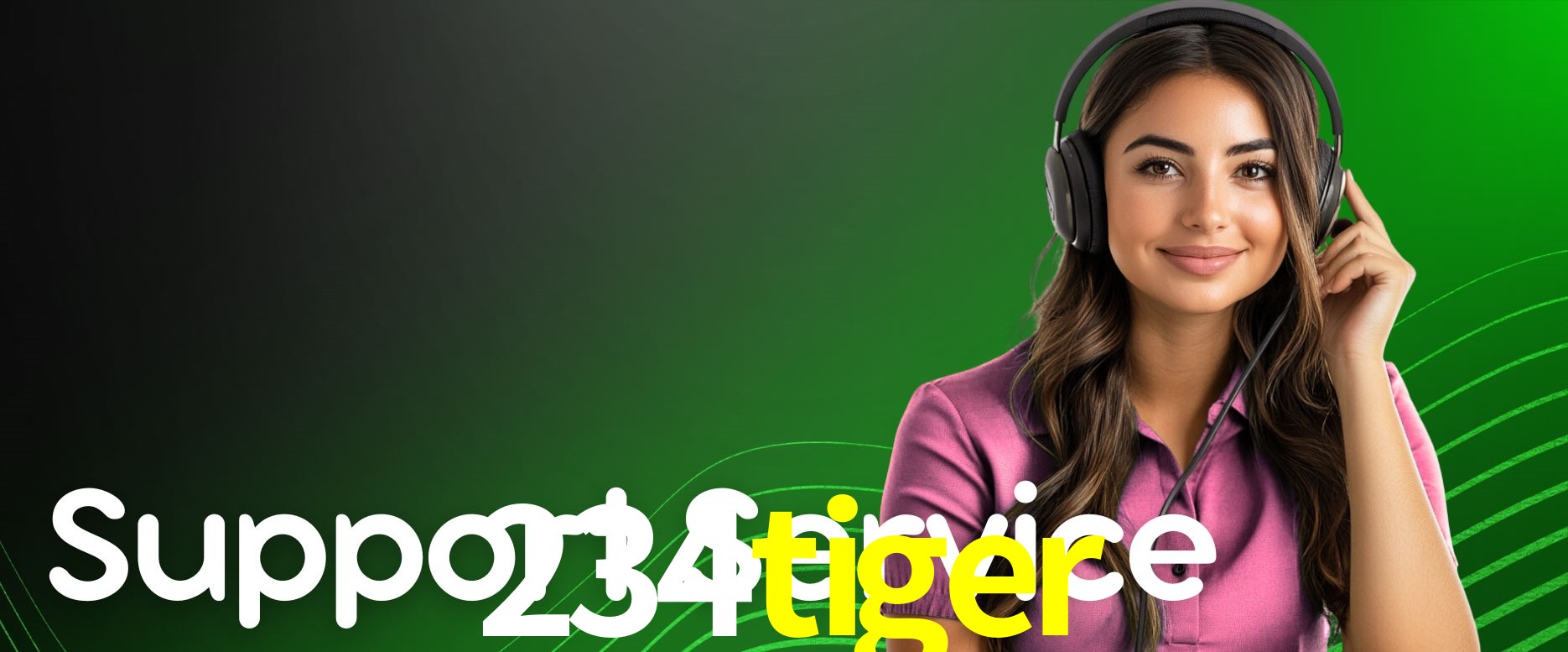 Security Systems 234tiger